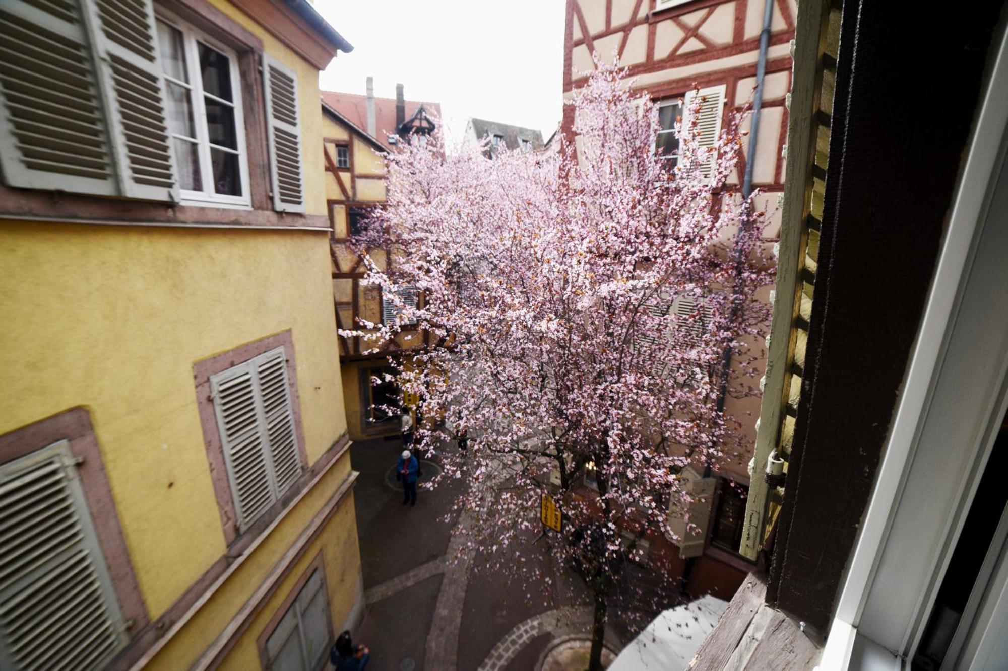 Gite Bim Maidala Colmar Exterior foto